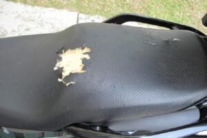Apakah Jok Motor Bisa Rusak dengan Sendirinya?